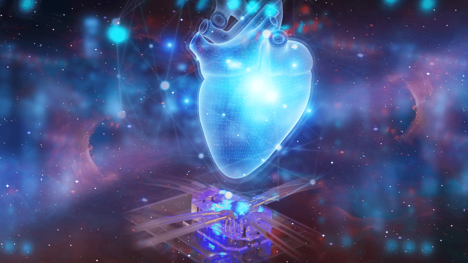 AstroCardia - Belgians send miniature heart into space for ageing research